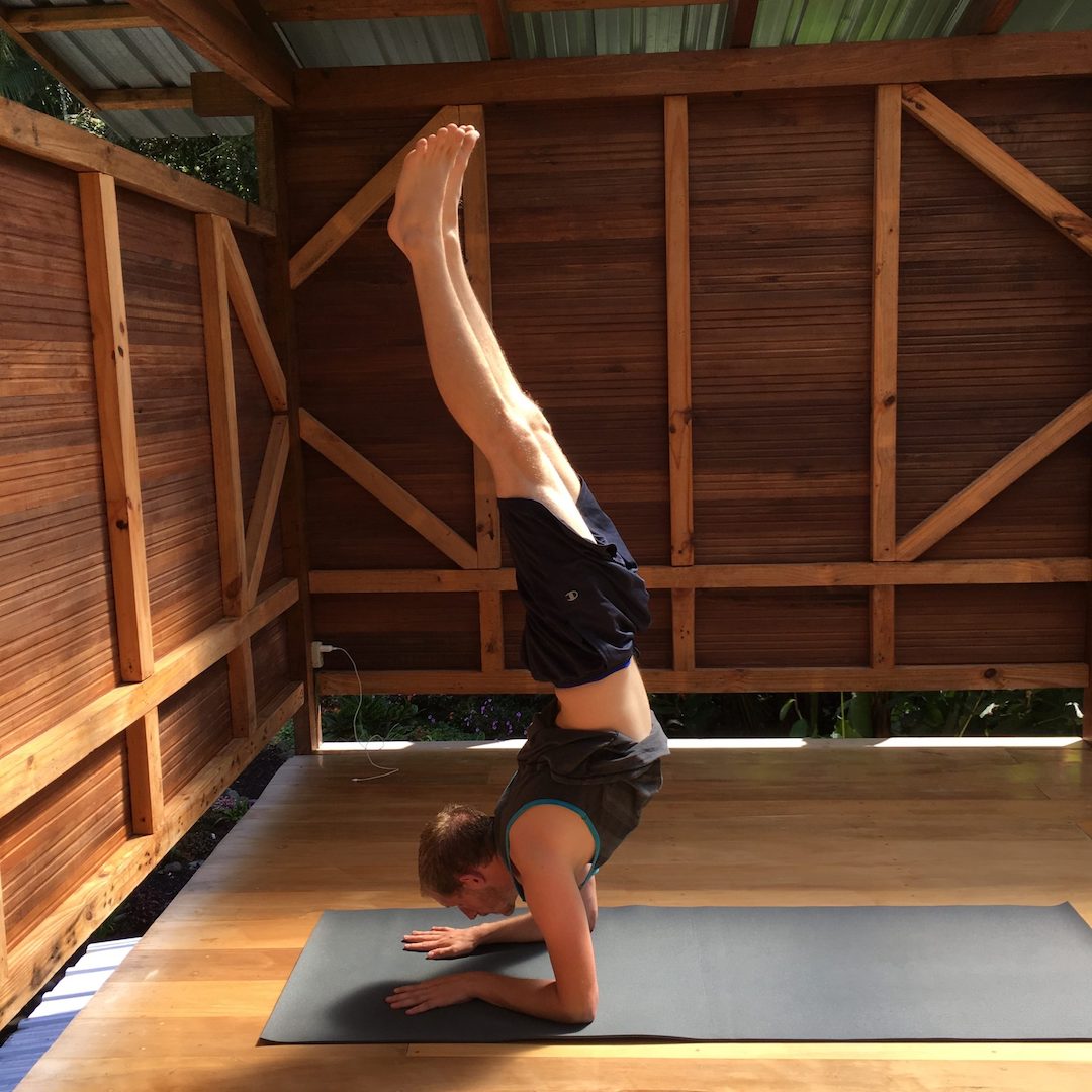 ashtanga yoga forearm stand