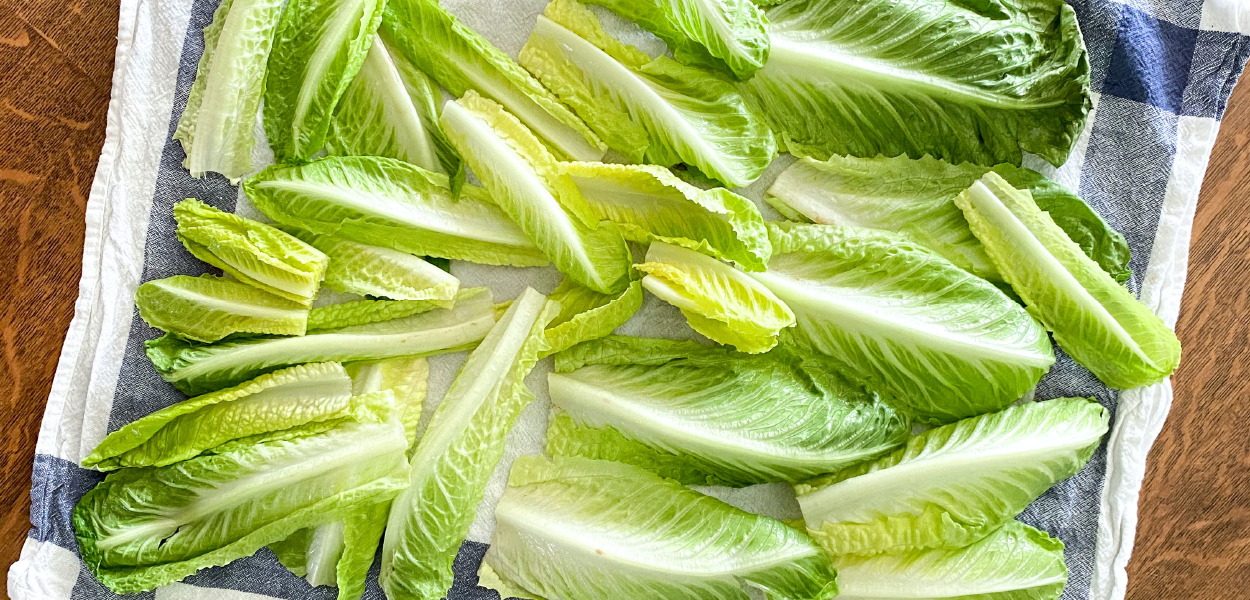 Cabbage Wrap Recipe